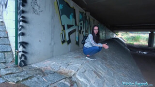 Public Agent - mit keresel te itt a híd alatt ?